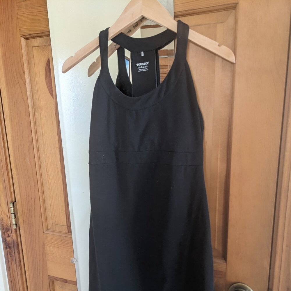 Toad & Co Alluvial Dress